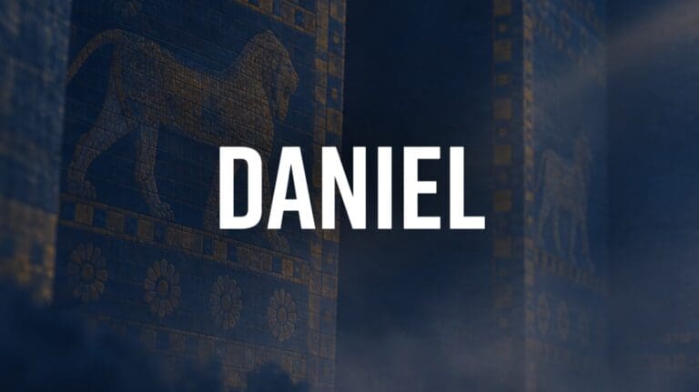 Daniel-img estudio