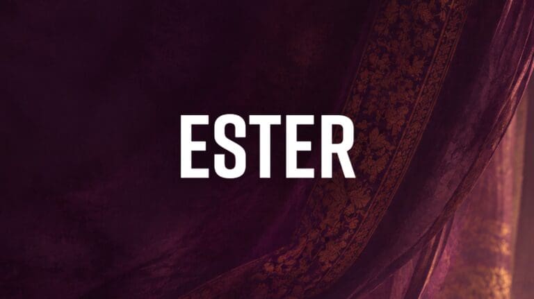 ester-estudio-img