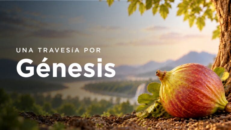 estudio tb genesis biblioteca