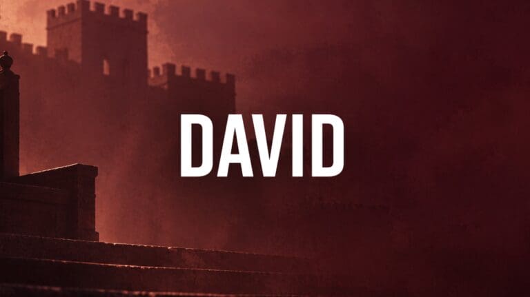 vida de david-estudio-imagen